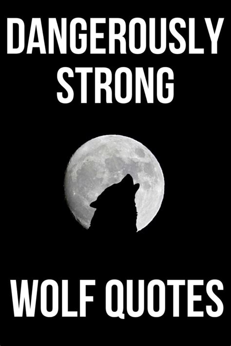 alpha wolf quotes|dangerously strong wolf quotes.